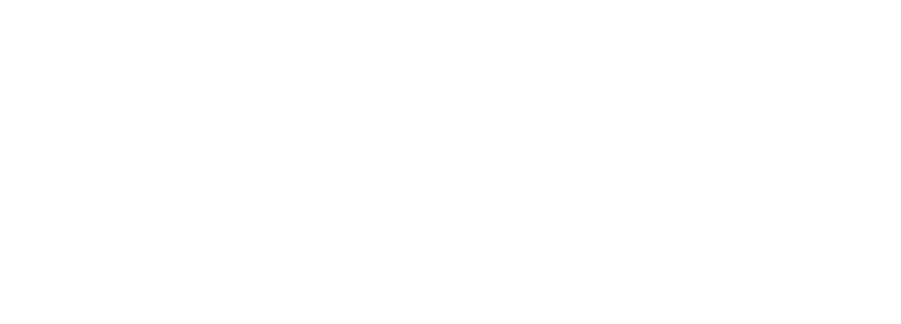Anora Health Logo White